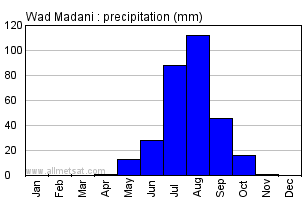 Wad Madani, Sudan, Africa Annual Yearly Monthly Rainfall Graph